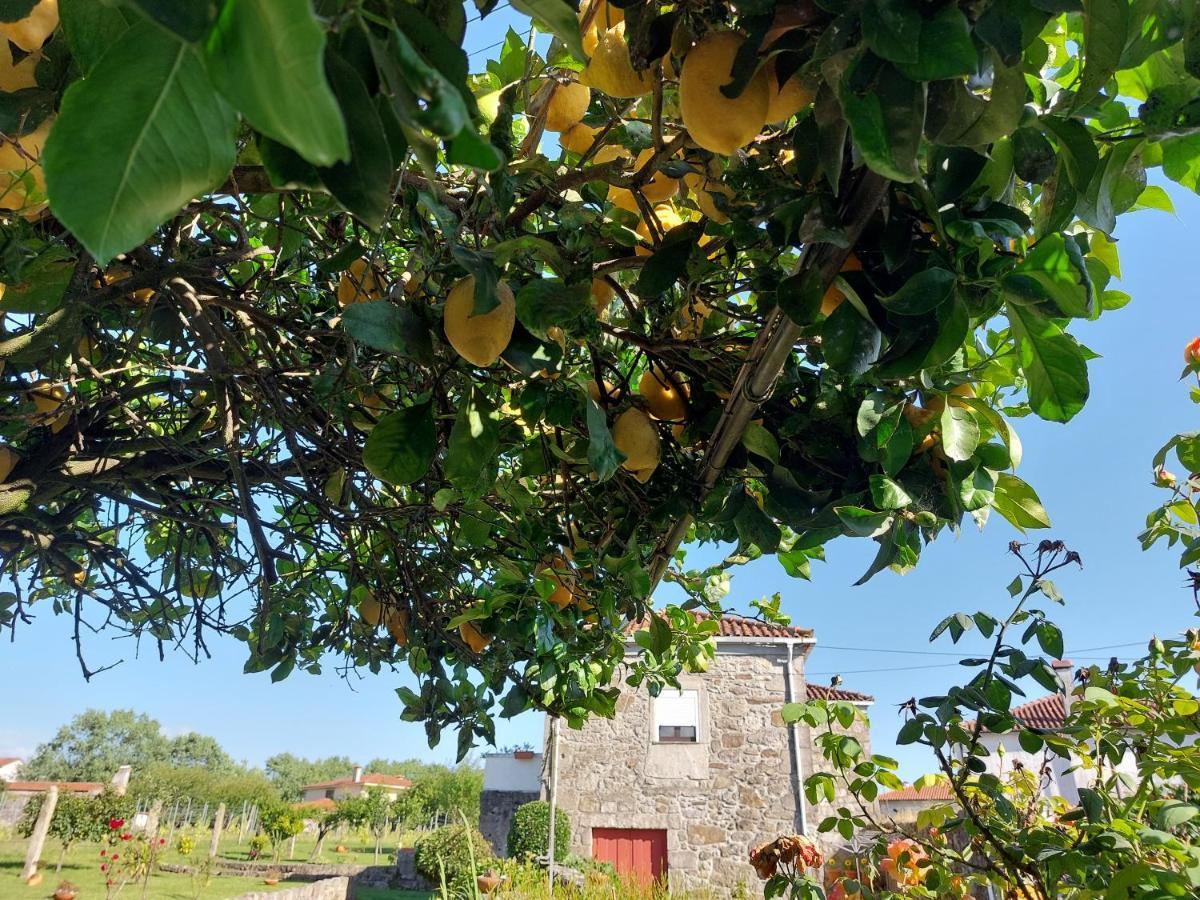 ホテル Quinta Da Ponte ビアナドカステロ エクステリア 写真