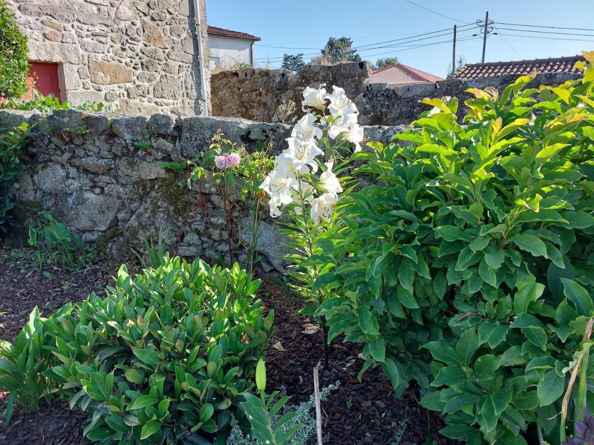 ホテル Quinta Da Ponte ビアナドカステロ エクステリア 写真
